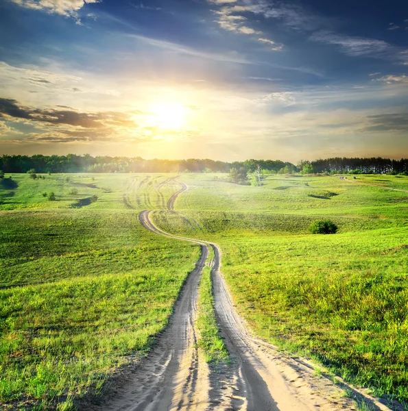 Road through spring field — Stock Photo, Image