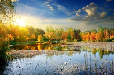 Nehri üzerinde sarı sonbahar