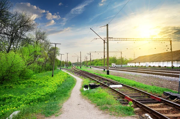 Poles on a railway — Stock Photo, Image