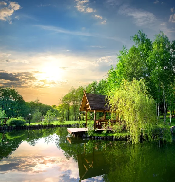 Arbour içinde ağaç