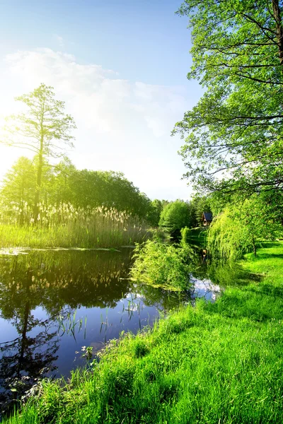Río y bosque en primavera — Foto de Stock