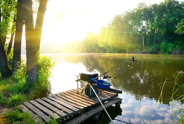 Vissen op de rivier — Stockfoto