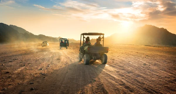 Buggies in desert — Stock Photo, Image