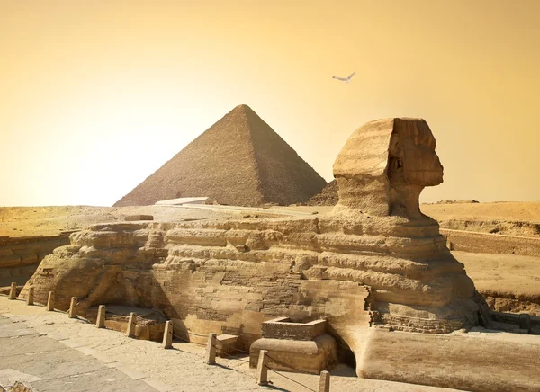 Sphinx en piramide — Stockfoto