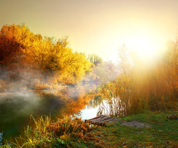 가을 안개 — 스톡 사진