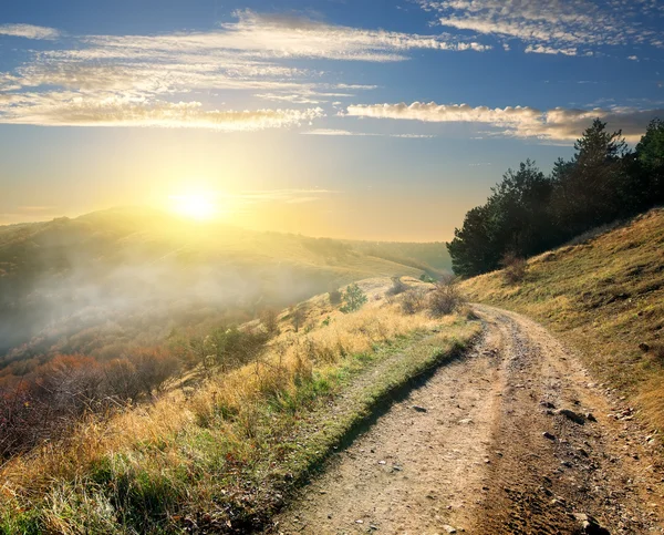 Road in the morning — Stock Photo, Image