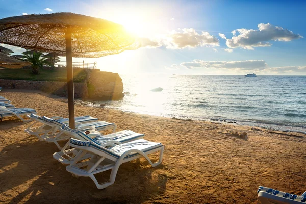 Chaise-longues em uma praia — Fotografia de Stock