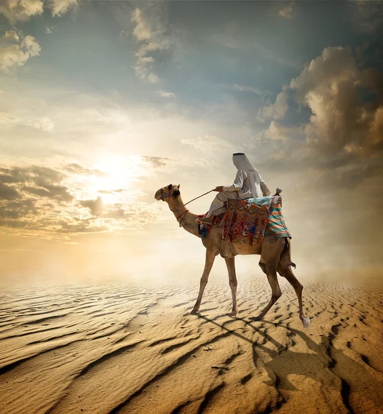 Viagem pelo deserto — Fotografia de Stock