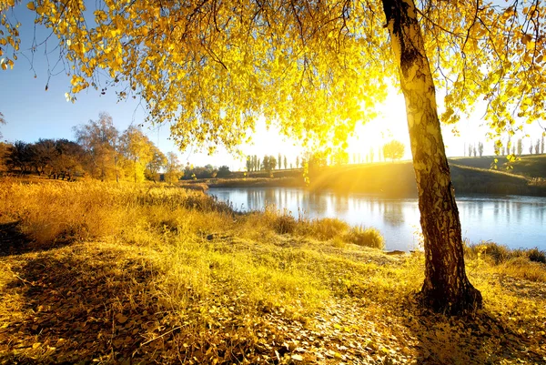 Bright autumn at sunrise — Stock Photo, Image