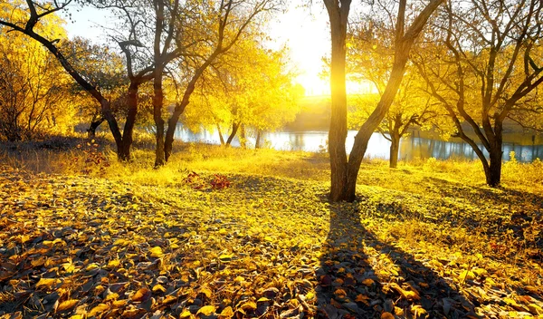 Sonbahar güzellik Nehri üzerinde — Stok fotoğraf