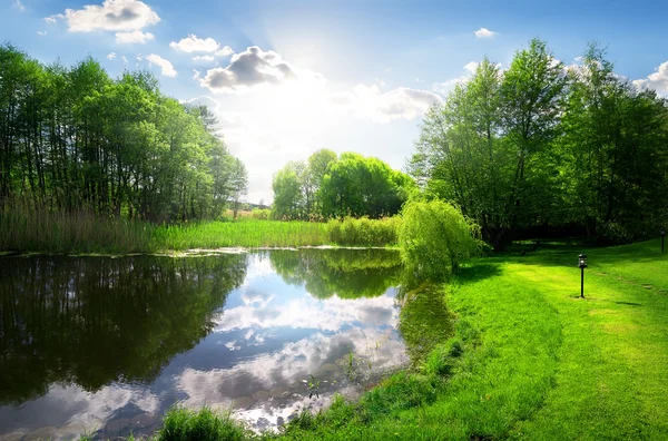 Gröna parken nära floden — Stockfoto