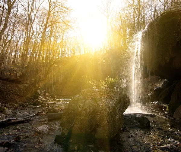 Waterfall in the wood — Stock Photo, Image