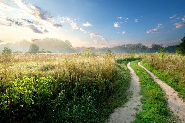 Mist over landweg — Stockfoto