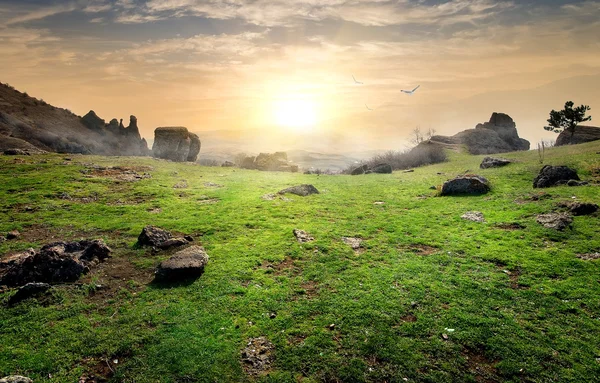 Çayır Vadisi — Stok fotoğraf