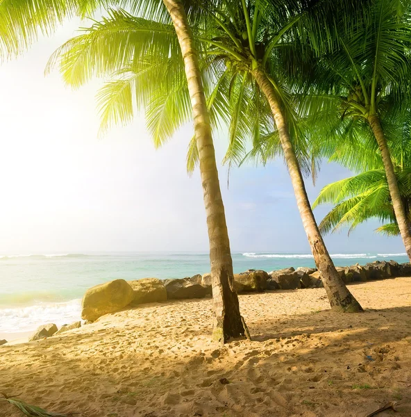 Soloppgang på en strand – stockfoto