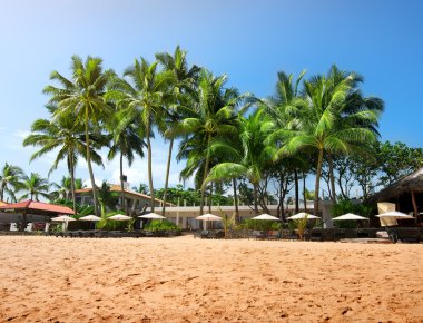 Bir beachfront avucunda