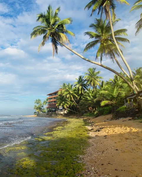 Skuggor på stranden — Stockfoto