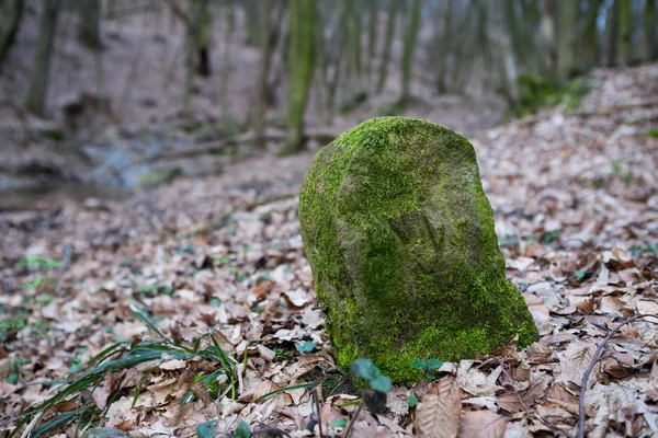 Eski sınır taşı — Stok fotoğraf