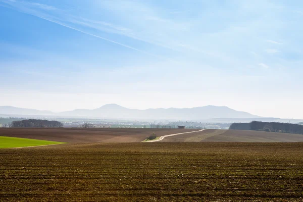 Campos bajo el cielo azul — Foto de Stock