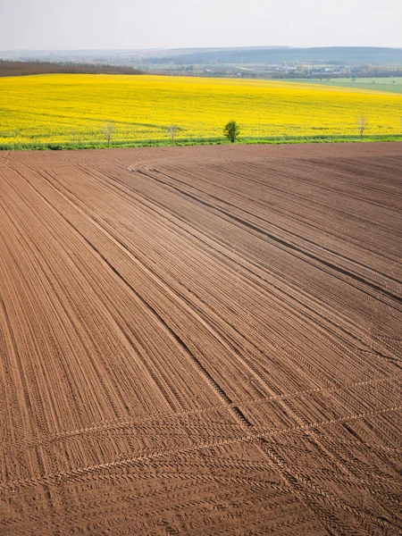 Plöjde fält i våren med traktor däck spåra — Stockfoto