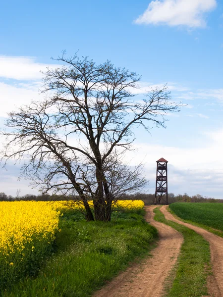 Torre de vigia no país rural — Fotografia de Stock