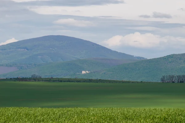 Wooded hill above green agricultural country — Stock Photo, Image