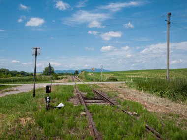 Kırsal demiryolu geçişi
