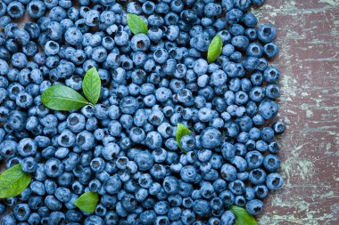 taze ve sulu yaban mersini