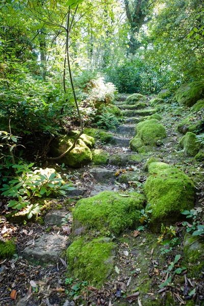 Buiten trap — Stockfoto