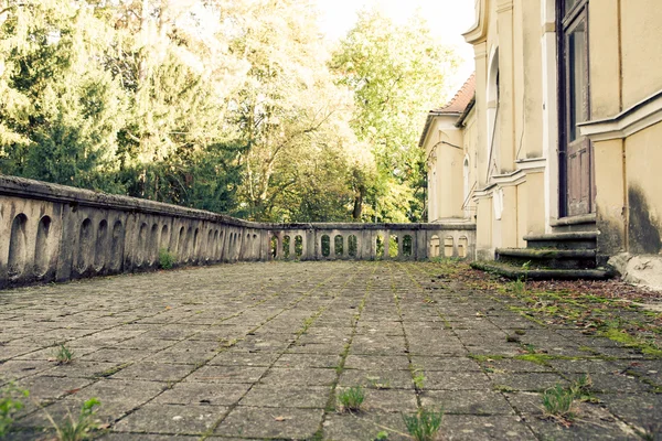 Bottom view of an overgrown terraces — Stock Photo, Image