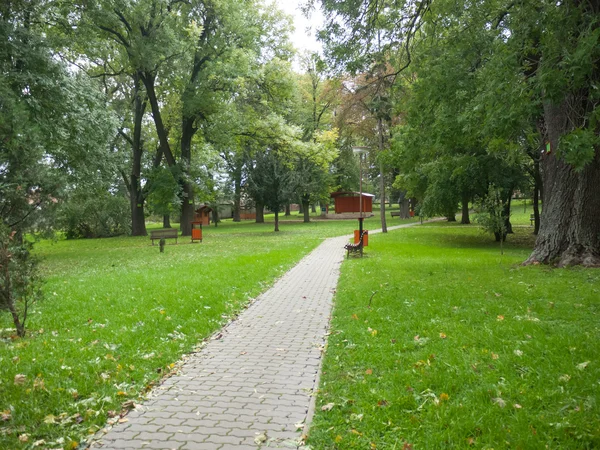 Sentiero di pietra in un parco — Foto Stock