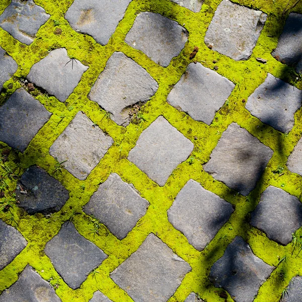 Cobbles with moss — Stock Photo, Image