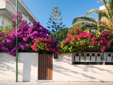 Akdeniz Çiçek Bahçesi