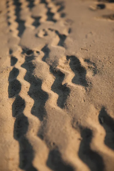 Kumda tekerlek izleri var. — Stok fotoğraf