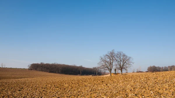 Gepflügte Felder und blauer Himmel — Stockfoto