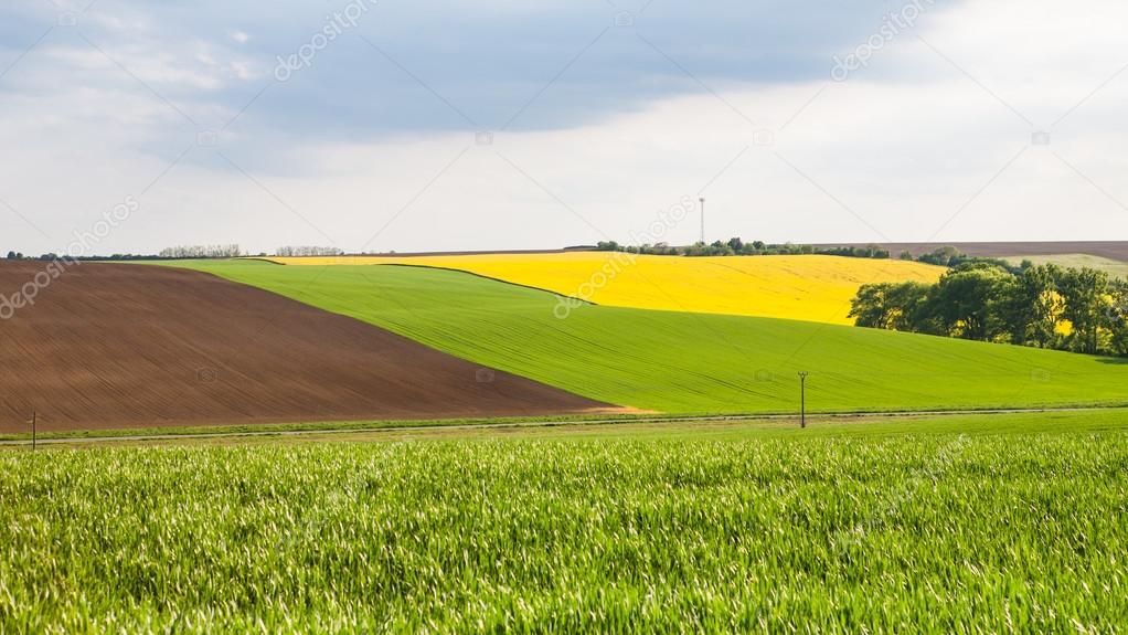 View of colorful fields