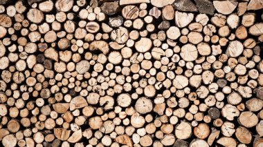 ağaç kütükleri arka plan