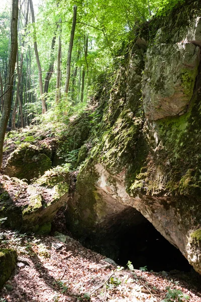 Sol brilha na entrada da caverna — Fotografia de Stock