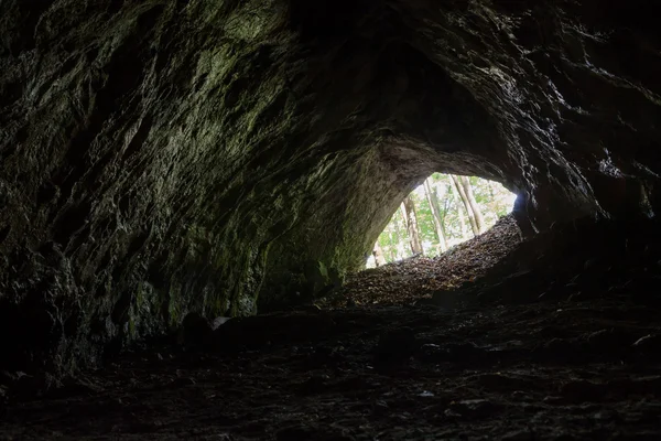 Blick aus einer tiefen Höhle — Stockfoto