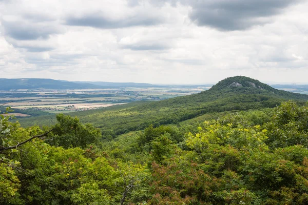 Montañas y bosques de Cárpatos Imagen De Stock