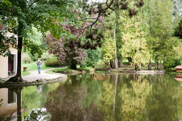 Trädgård landskapet med damm — Stockfoto