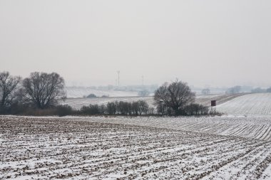 Mısır sahasındaki ilk kar