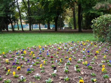 Park sahne homo çiçekli
