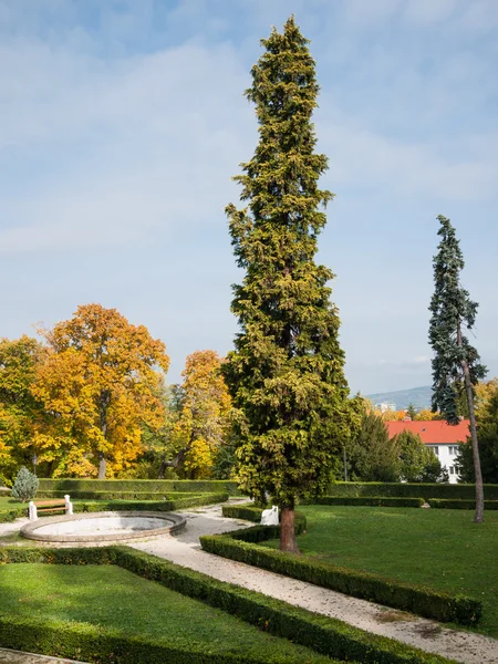 Gammal trädgård och fontän — Stockfoto