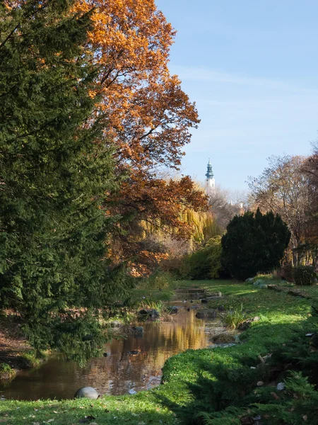 Bellissimo paesaggio autunnale in un parco cittadino — Foto Stock