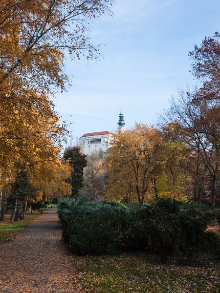 Parque a caminho do castelo medieval — Fotografia de Stock