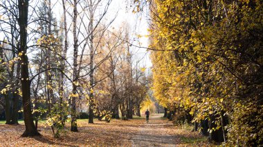 Parkta sabah koşusu