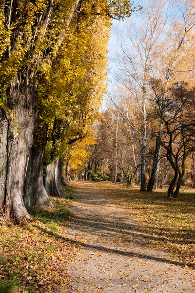 Cesta parku na podzim — Stock fotografie