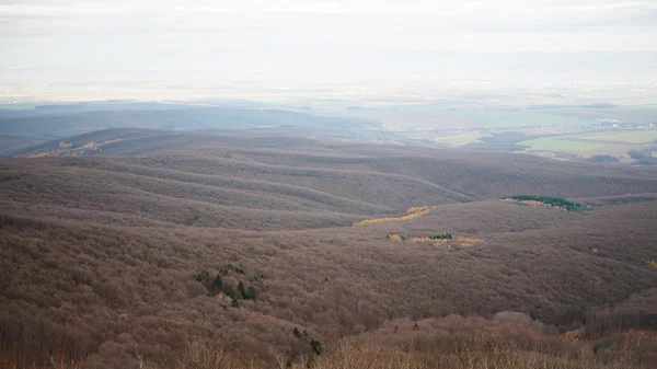 Vue aérienne des bois en automne — Photo