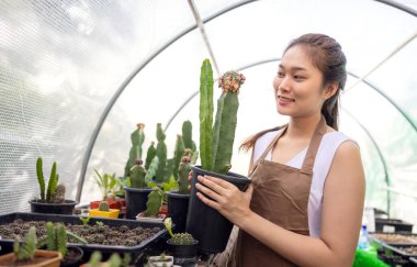 Kaktüs bahçıvanlığı Asyalı kadınlar arasında popüler bir eğlencedir..